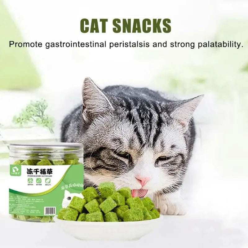 50g Cat Grass Snacks – Freeze-Dried Cat Treats | Healthy Cat Grass Biscuits for Teething, Training, and Rewards