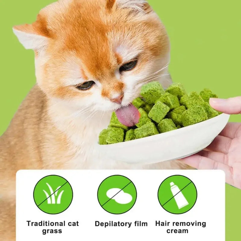 50g Cat Grass Snacks – Freeze-Dried Cat Treats | Healthy Cat Grass Biscuits for Teething, Training, and Rewards