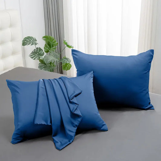 2 Pcs 100% Mulberry Silk Pillowcases, Silky Smooth Silk Pillow Cases With Hidden Zipper For Hair And Skin