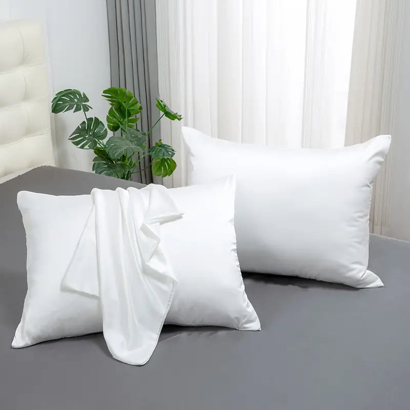 2 Pcs 100% Mulberry Silk Pillowcases, Silky Smooth Silk Pillow Cases With Hidden Zipper For Hair And Skin